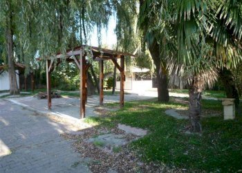 Giardino - Stabile - Palazzo Località Cittadella, 1, Altavilla Monferrato - foto 10