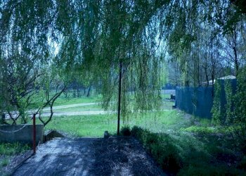 Giardino - Stabile - Palazzo Località Cittadella, 1, Altavilla Monferrato - foto 12