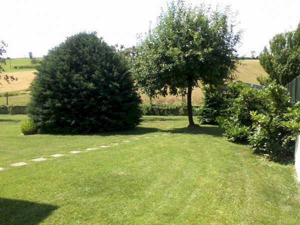 Villa Alessandria - planimetria 1