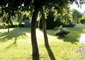 giardino - Villa Alessandria - foto 16