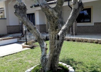 Aurora8.jpg - Casa indipendente Via Aurora 22, Anzio - foto 20