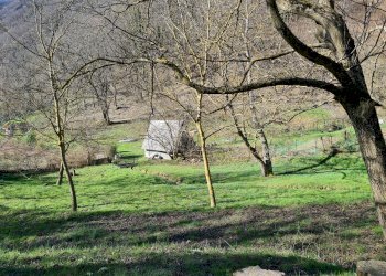 Independent house Montoggio - photo 40