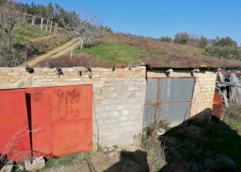 IMG_20210224_094607.jpg - Porzione di casa SANTA MARIA DEI MESI, Lanciano - foto 18