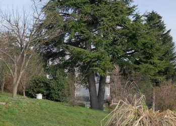 Rif 947 07.jpg - Casa indipendente Tiglieto - foto 22