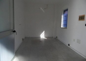 Capannone via dei Ronchi, Alpignano - foto 12