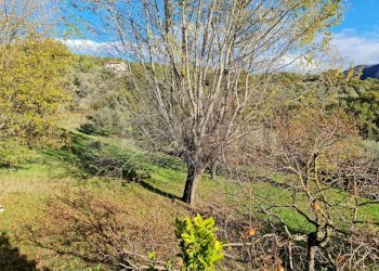 Villa Unifamiliare Via Valle, Santopadre - foto 25