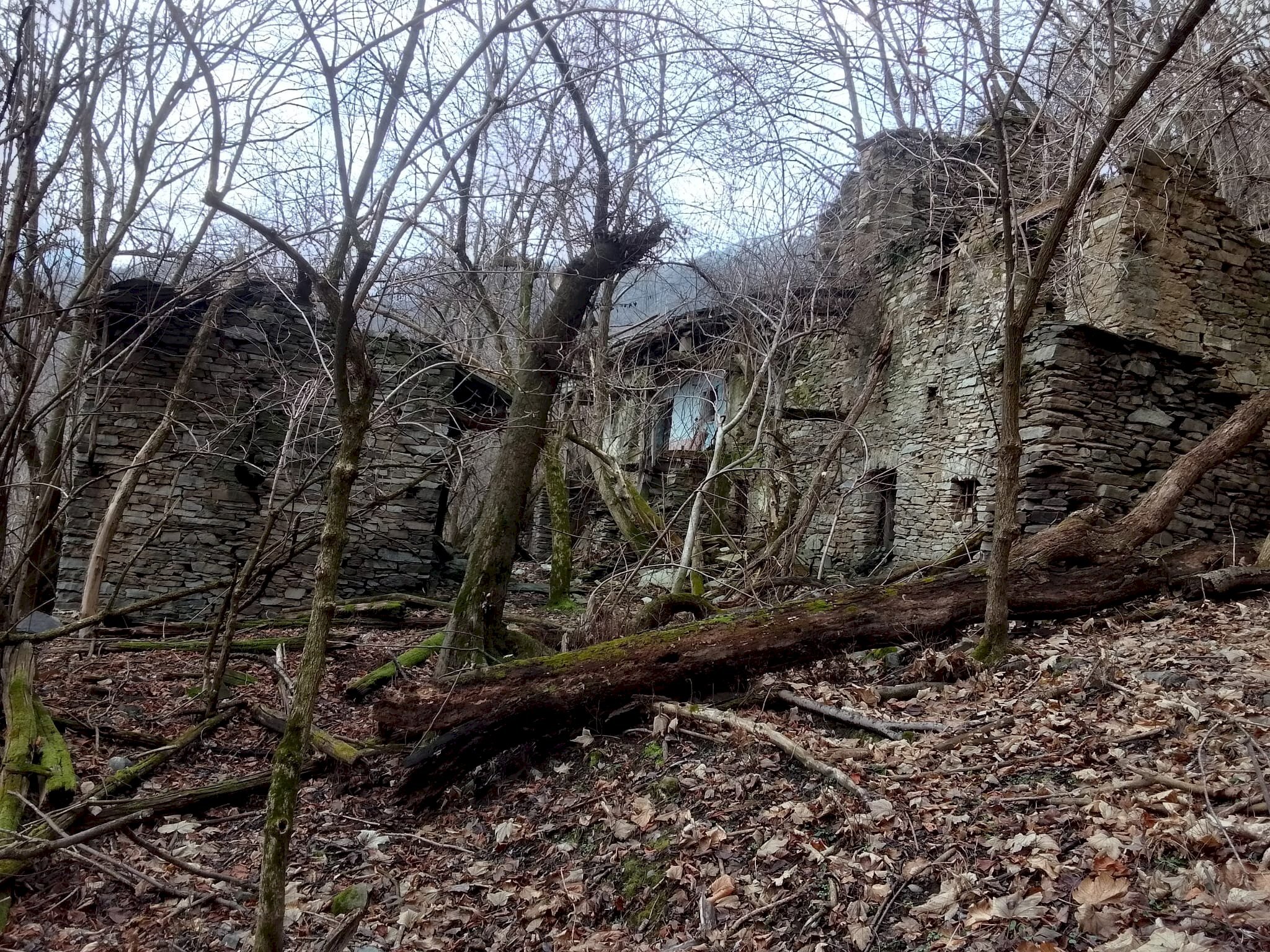 Rustic Località Bursinet, Snc, Paesana - photo 1