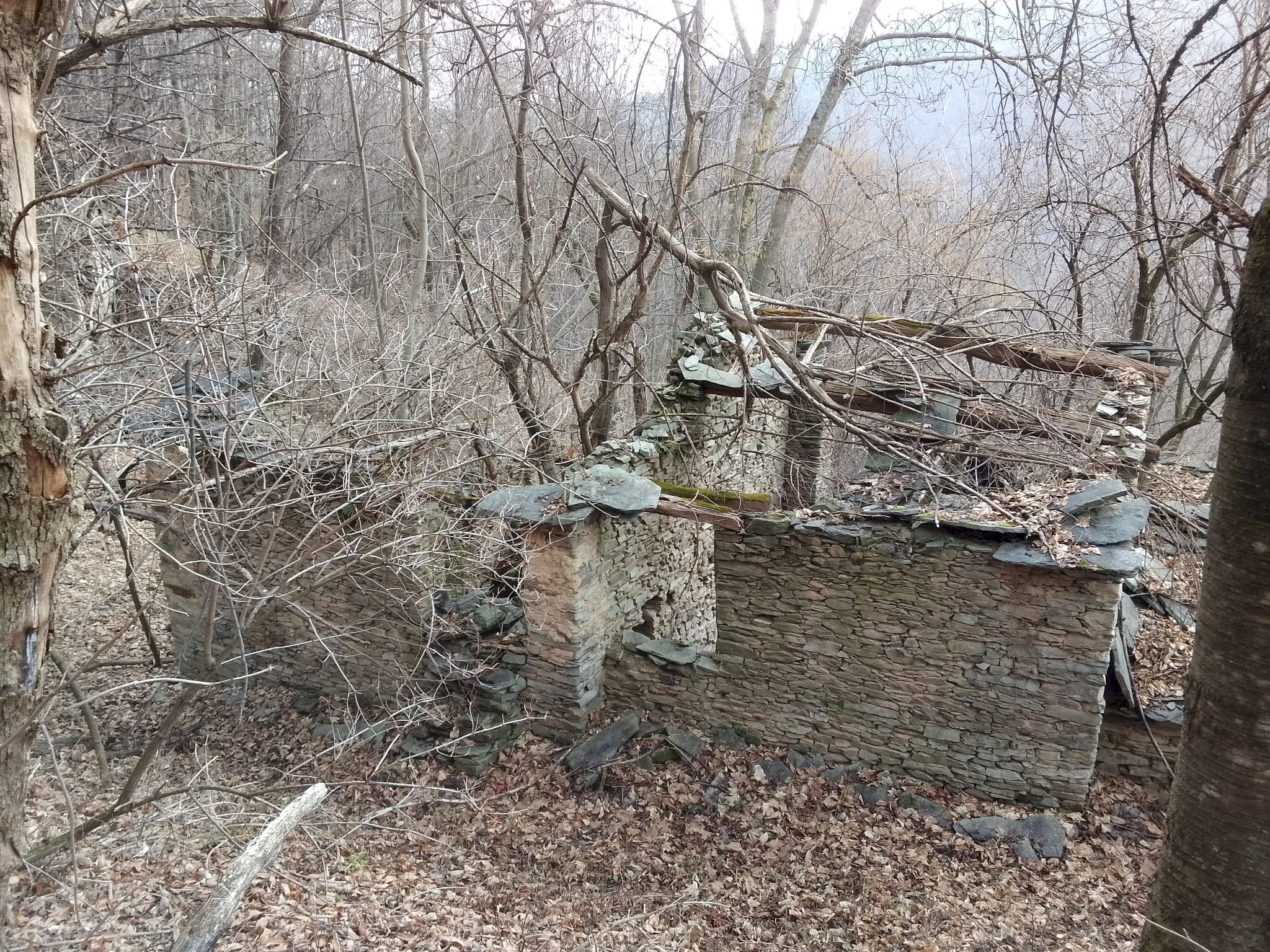 Rustic Località Bursinet, Snc, Paesana - photo 3