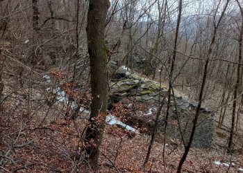 Rustico Località Bursinet, Snc, Paesana - foto 5