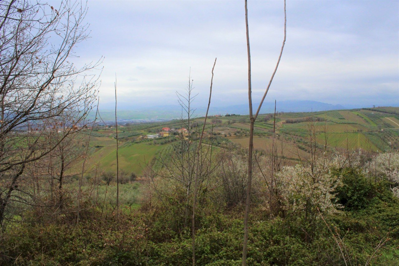 IMG_0975.JPG - Terreno agricolo via Brasile, Mozzagrogna - foto 3