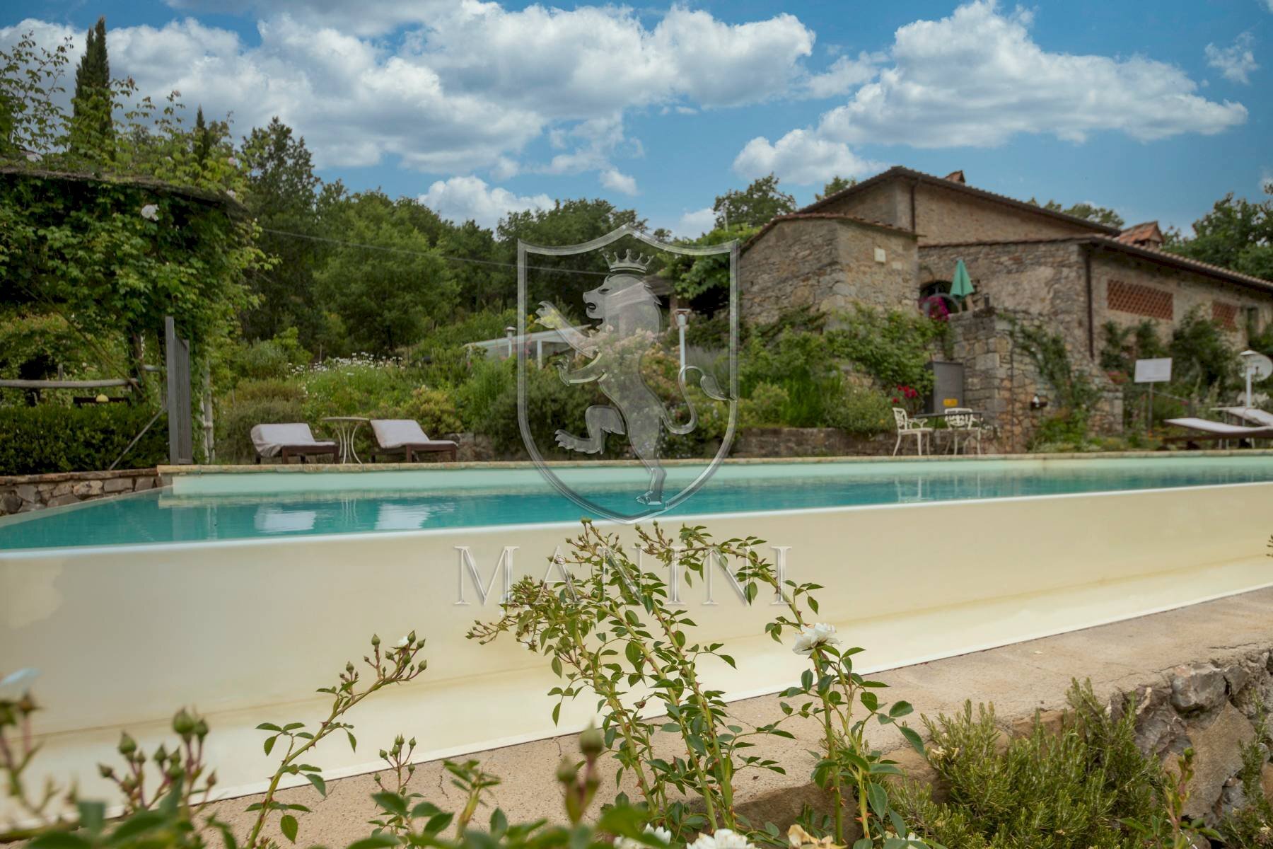 Rustic strada provinciale, Gaiole in Chianti - photo 3