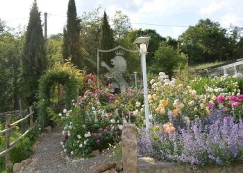 Rustic strada provinciale, Gaiole in Chianti - photo 5
