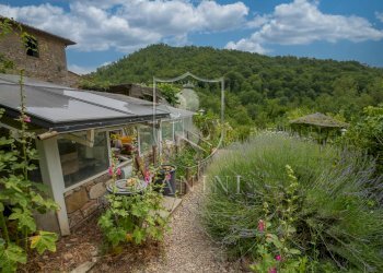 Rustic strada provinciale, Gaiole in Chianti - photo 15