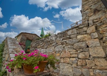 Rustic strada provinciale, Gaiole in Chianti - photo 16