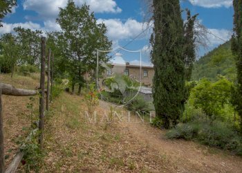 Rustic strada provinciale, Gaiole in Chianti - photo 19