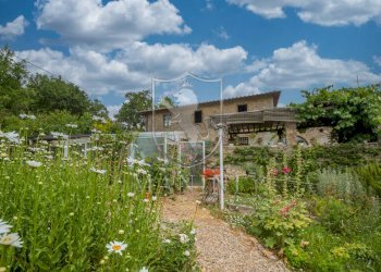Rustic strada provinciale, Gaiole in Chianti - photo 29