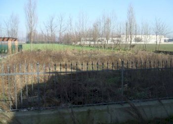 Villa Bagnolo Mella - foto 4
