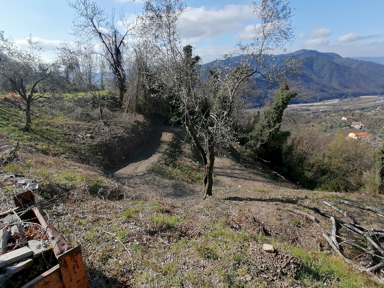 IMG_20210325_095946.jpg - Villa Calice al Cornoviglio - foto 2