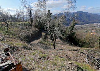 IMG_20210325_095946.jpg - Villa Calice al Cornoviglio - foto 2