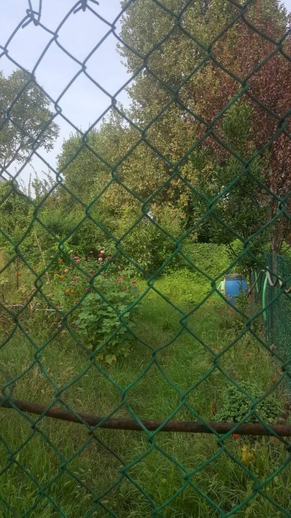 Three-room apartment Gottolengo - photo 2