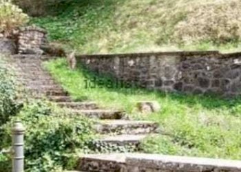 WhatsApp Image 2024-06-25 at 16.01.10.jpeg - Villa Fivizzano - foto 7