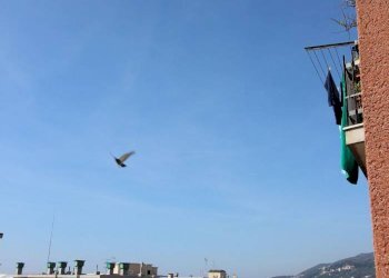 vista - Three-room apartment via Diano Marina, Genova - photo 18