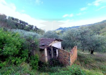 Terreno agricolo Località Curl, Perinaldo - foto 1