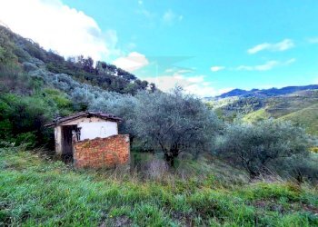 Terreno agricolo Località Curl, Perinaldo - foto 2
