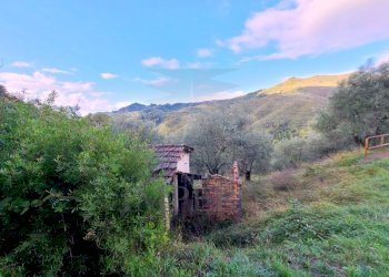 Terreno agricolo Località Curl, Perinaldo - foto 5