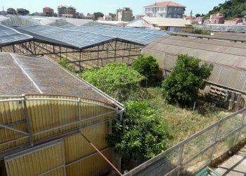 giardino - Porzione di casa Via Braie 185, Camporosso - foto 22