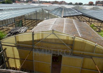 serra compresa - Porzione di casa Via Braie 185, Camporosso - foto 23