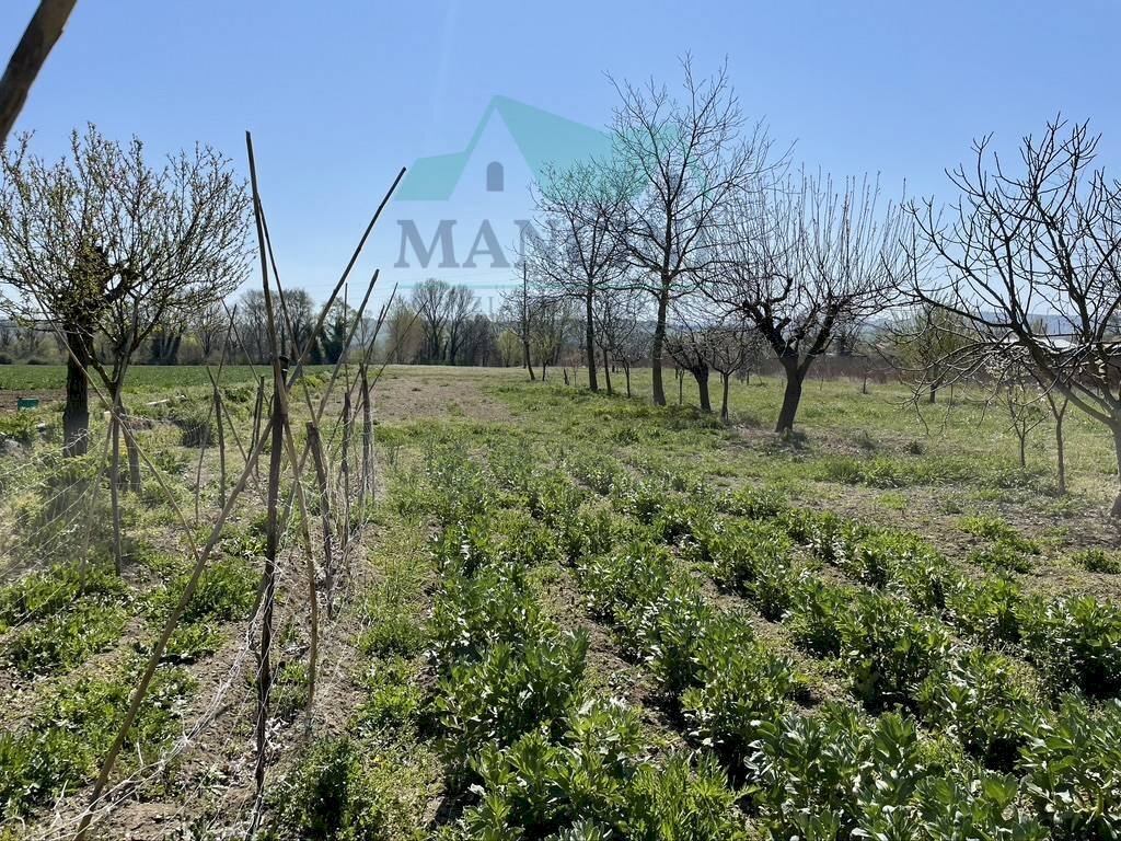 Agricultural land spina, Jesi - photo 2