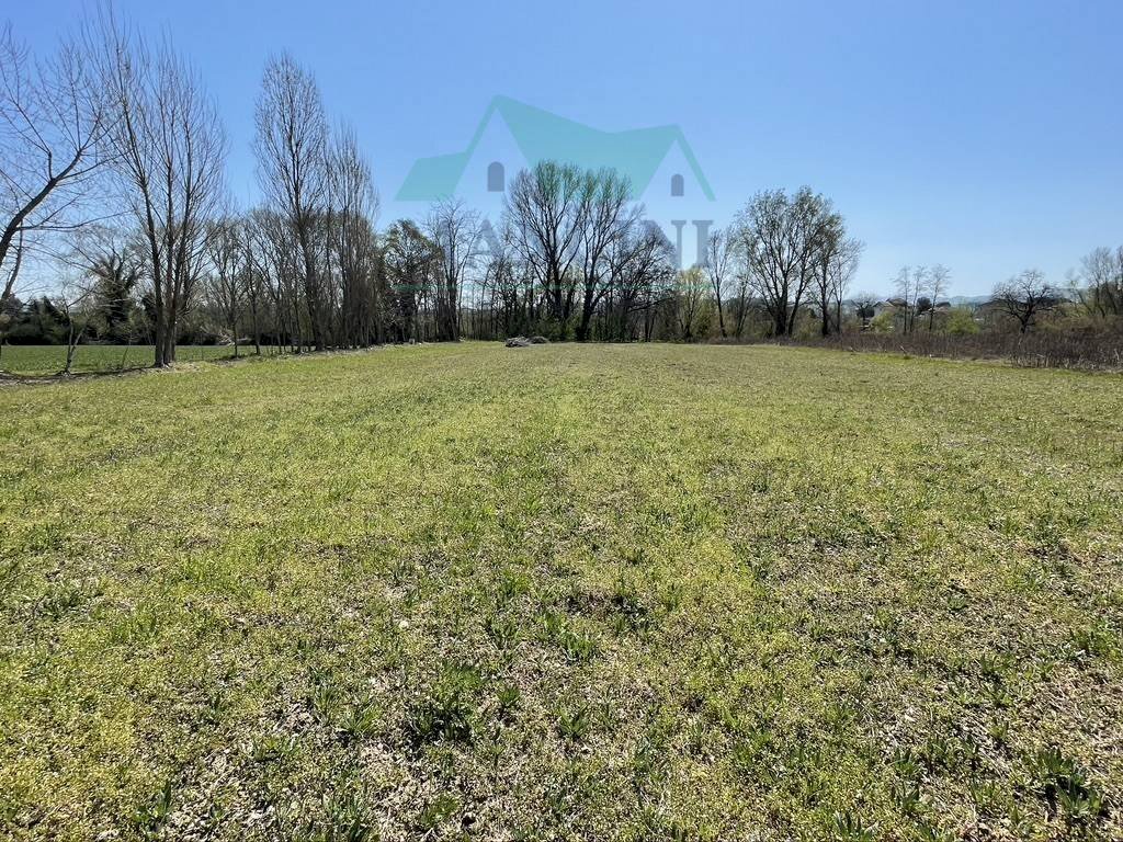 Agricultural land spina, Jesi - photo 3