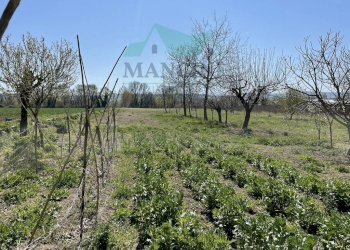 Agricultural land spina, Jesi - photo 2