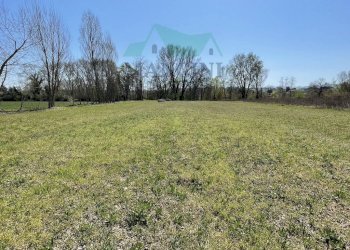 Agricultural land spina, Jesi - photo 3