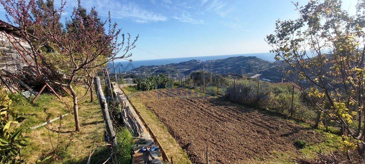 2.jpg - Agricultural land Strada Collette Beulle, Taggia - photo 1