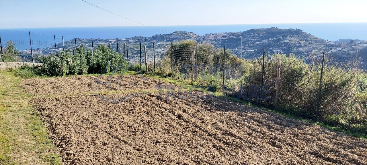 6.jpg - Agricultural land Strada Collette Beulle, Taggia - photo 2