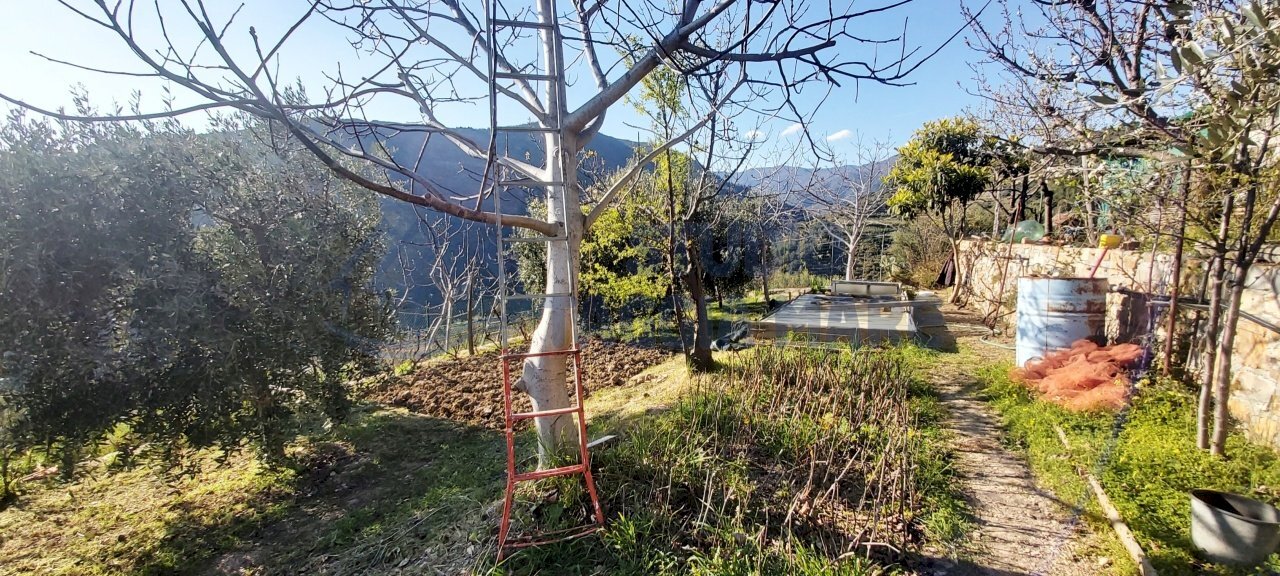 1.jpg - Agricultural land Strada Collette Beulle, Taggia - photo 3