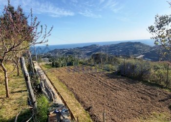 2.jpg - Agricultural land Strada Collette Beulle, Taggia - photo 1