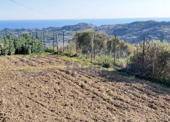 6.jpg - Agricultural land Strada Collette Beulle, Taggia - photo 2