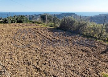 3.jpg - Agricultural land Strada Collette Beulle, Taggia - photo 4