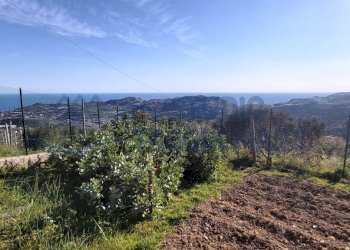 5.jpg - Agricultural land Strada Collette Beulle, Taggia - photo 6