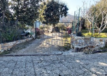 10.jpg - Agricultural land Strada Collette Beulle, Taggia - photo 9