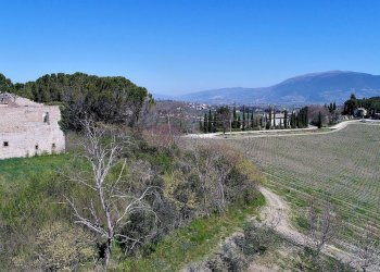 Rustico Spoleto, Spoleto - foto 11