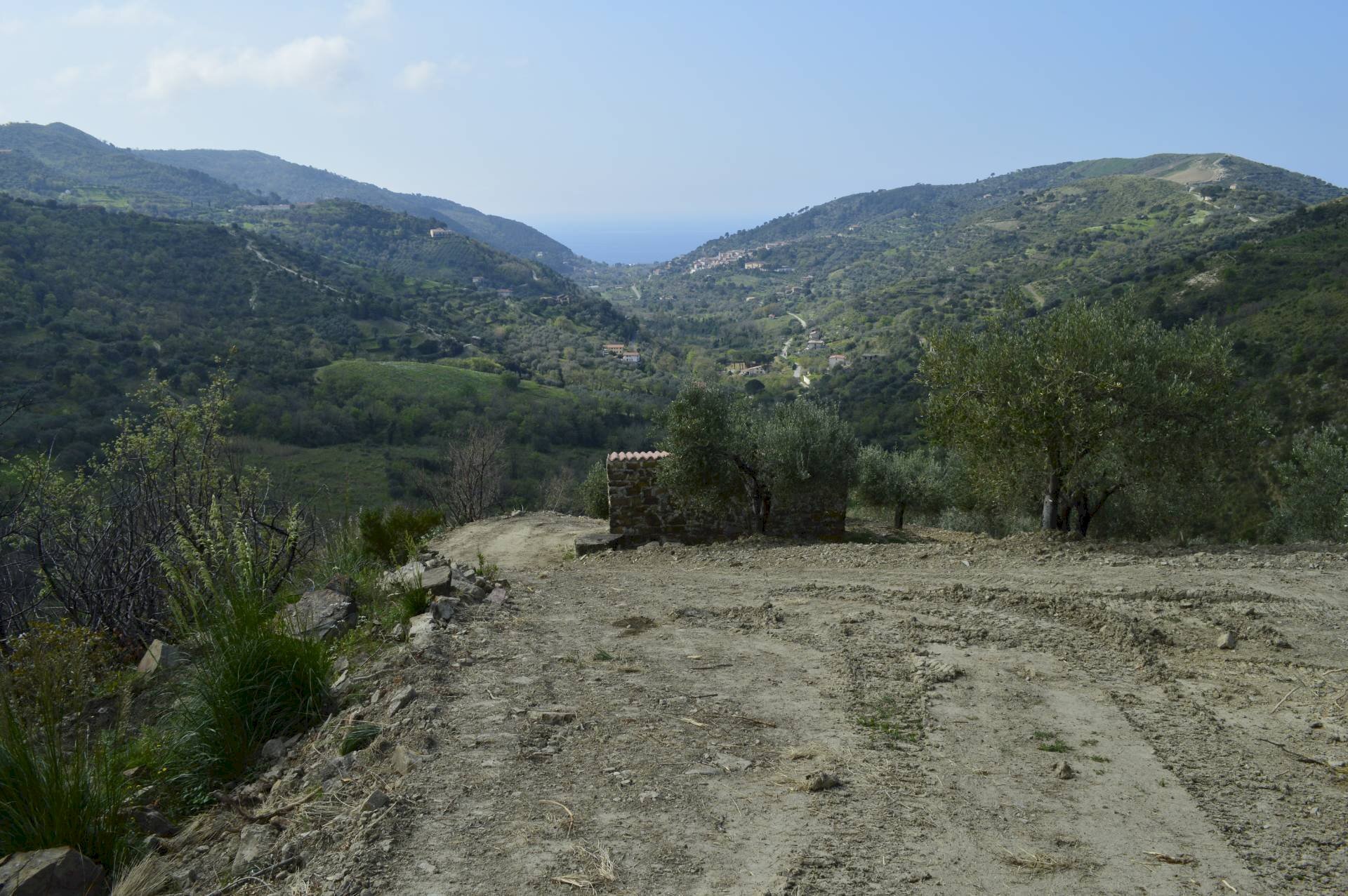 Rustic contrada San Donato, Montecorice - photo 3