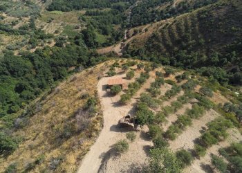 Rustico contrada San Donato, Montecorice - foto 1