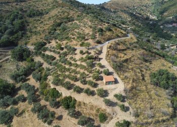 Rustico contrada San Donato, Montecorice - foto 2