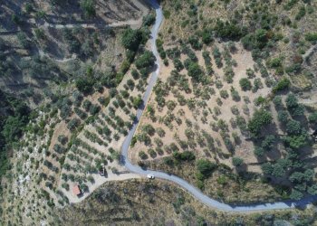 Rustico contrada San Donato, Montecorice - foto 5