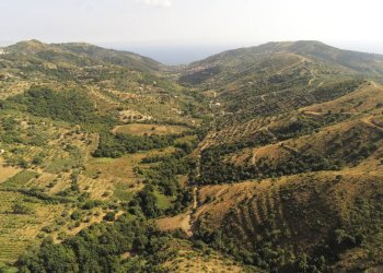 Rustico contrada San Donato, Montecorice - foto 6