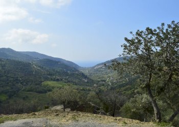 Rustico contrada San Donato, Montecorice - foto 9